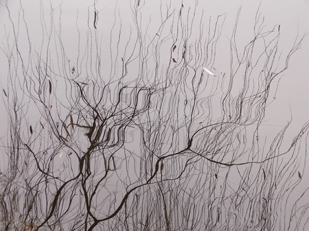 Осінь у воді